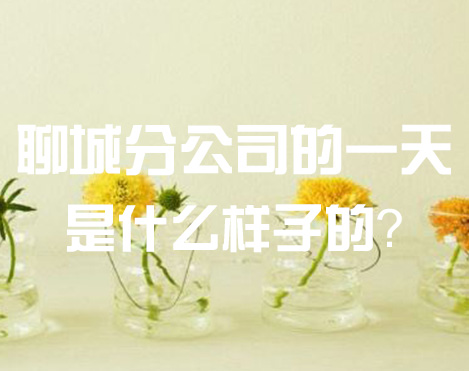 聊城分公司的一天是什么樣子的？
